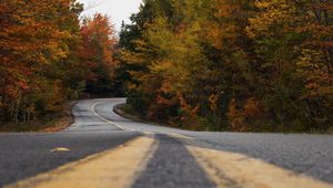 Preview wallpaper road, trees, autumn, marking, distance