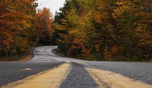 Preview wallpaper road, trees, autumn, marking, distance