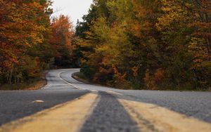 Preview wallpaper road, trees, autumn, marking, distance