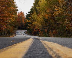 Preview wallpaper road, trees, autumn, marking, distance