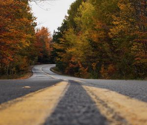 Preview wallpaper road, trees, autumn, marking, distance