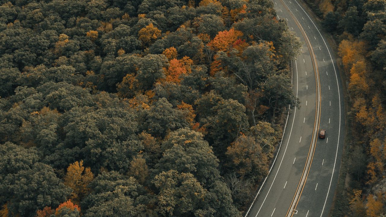 Wallpaper road, trees, autumn, car, marking