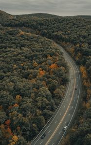 Preview wallpaper road, trees, autumn, car, marking