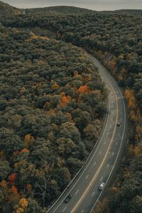 Preview wallpaper road, trees, autumn, car, marking