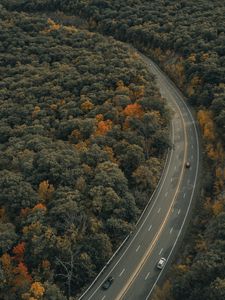 Preview wallpaper road, trees, autumn, car, marking