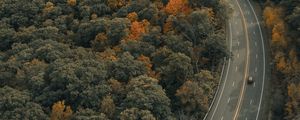 Preview wallpaper road, trees, autumn, car, marking