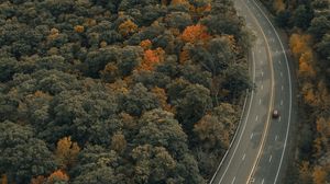 Preview wallpaper road, trees, autumn, car, marking