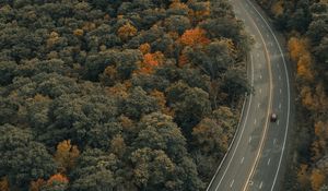 Preview wallpaper road, trees, autumn, car, marking