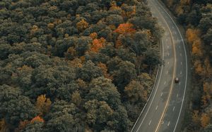 Preview wallpaper road, trees, autumn, car, marking