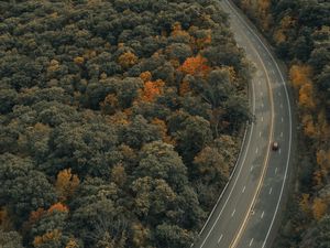 Preview wallpaper road, trees, autumn, car, marking