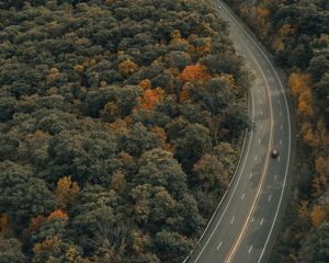 Preview wallpaper road, trees, autumn, car, marking