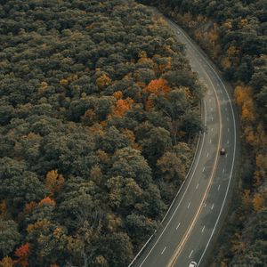 Preview wallpaper road, trees, autumn, car, marking
