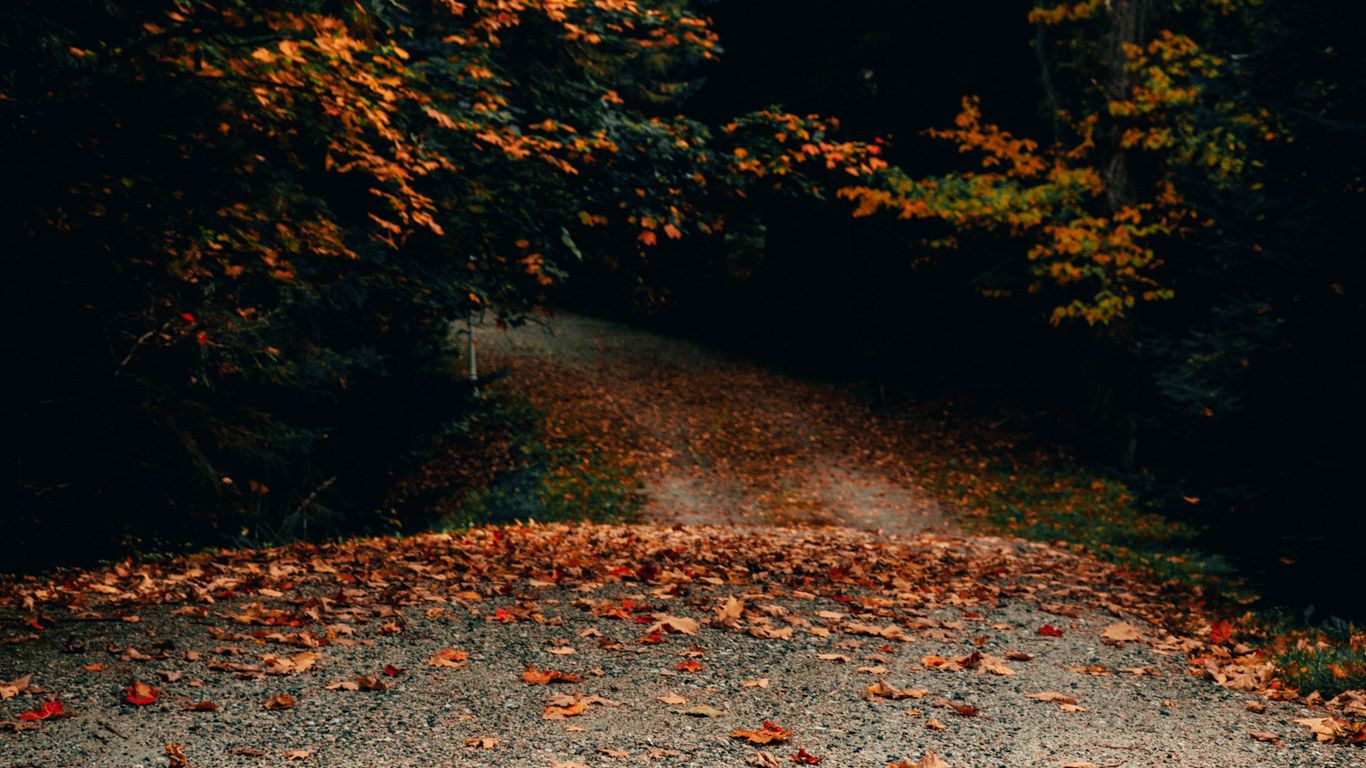 Download wallpaper 1366x768 road, trees, autumn, fallen leaves tablet ...