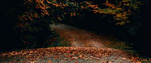 Preview wallpaper road, trees, autumn, fallen leaves