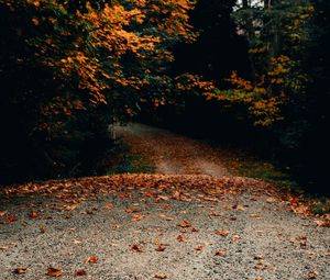 Preview wallpaper road, trees, autumn, fallen leaves