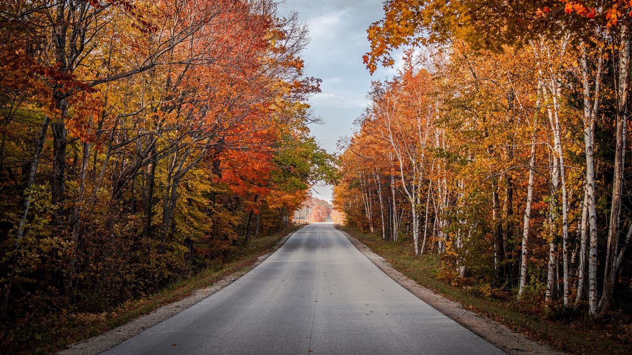 Wallpaper road, trees, autumn, nature, view