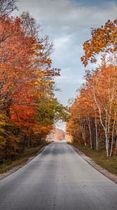 Preview wallpaper road, trees, autumn, nature, view