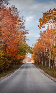 Preview wallpaper road, trees, autumn, nature, view