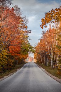 Preview wallpaper road, trees, autumn, nature, view