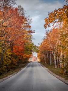 Preview wallpaper road, trees, autumn, nature, view