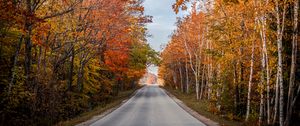 Preview wallpaper road, trees, autumn, nature, view