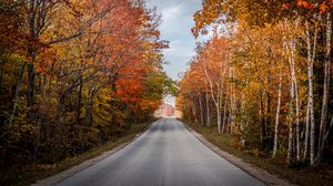 Preview wallpaper road, trees, autumn, nature, view