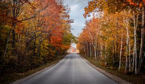 Preview wallpaper road, trees, autumn, nature, view