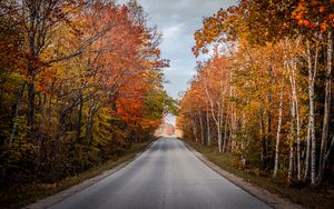 Preview wallpaper road, trees, autumn, nature, view
