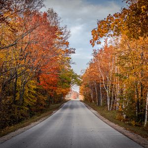 Preview wallpaper road, trees, autumn, nature, view