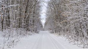 Preview wallpaper road, trees, branches, snow, winter, nature