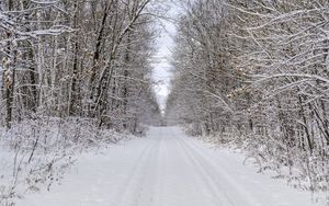 Preview wallpaper road, trees, branches, snow, winter, nature