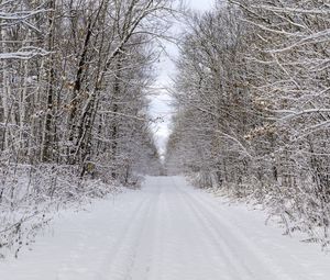 Preview wallpaper road, trees, branches, snow, winter, nature