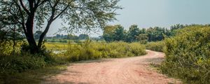 Preview wallpaper road, trees, bushes, turn, nature