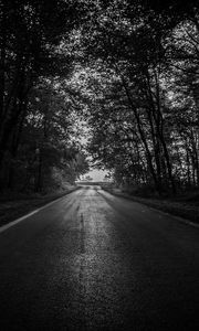 Preview wallpaper road, trees, bw, dark, forest