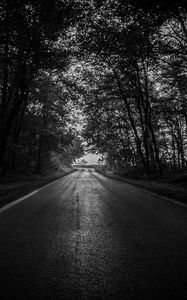 Preview wallpaper road, trees, bw, dark, forest