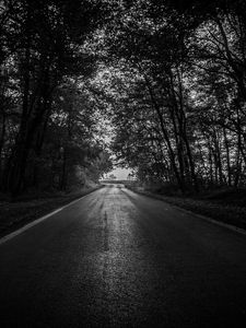 Preview wallpaper road, trees, bw, dark, forest