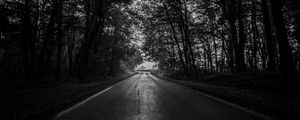 Preview wallpaper road, trees, bw, dark, forest