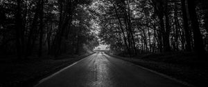 Preview wallpaper road, trees, bw, dark, forest