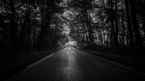 Preview wallpaper road, trees, bw, dark, forest