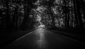 Preview wallpaper road, trees, bw, dark, forest
