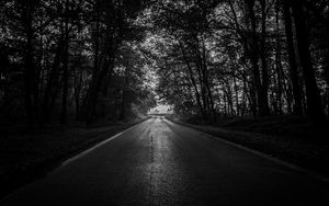 Preview wallpaper road, trees, bw, dark, forest