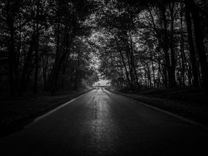 Preview wallpaper road, trees, bw, dark, forest