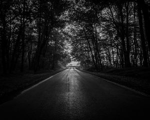 Preview wallpaper road, trees, bw, dark, forest