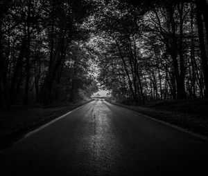 Preview wallpaper road, trees, bw, dark, forest