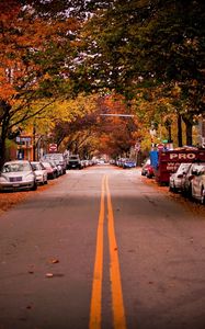 Preview wallpaper road, trees, cambridge, car, usa