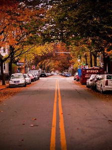 Preview wallpaper road, trees, cambridge, car, usa