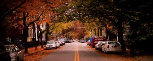 Preview wallpaper road, trees, cambridge, car, usa