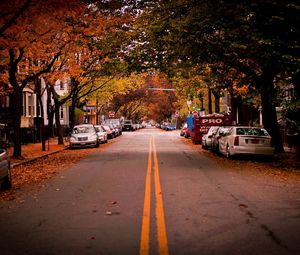 Preview wallpaper road, trees, cambridge, car, usa