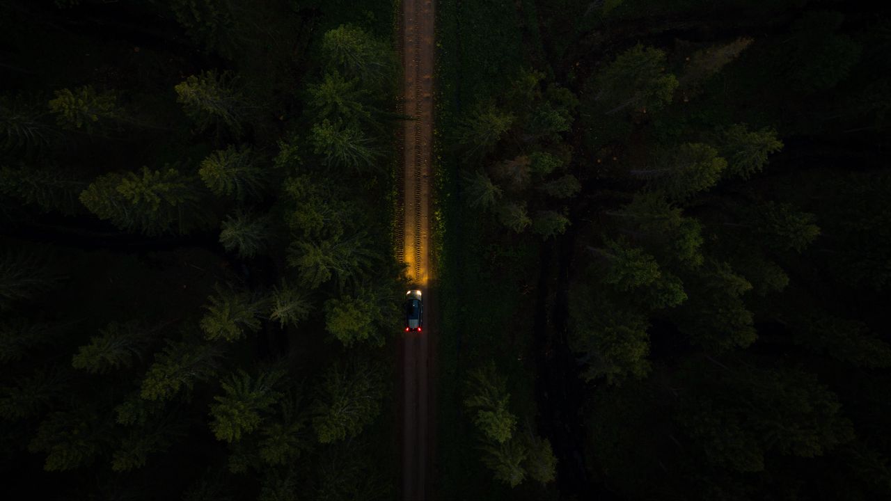 Wallpaper road, trees, car, aerial view