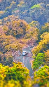 Preview wallpaper road, trees, car, turn, aerial view